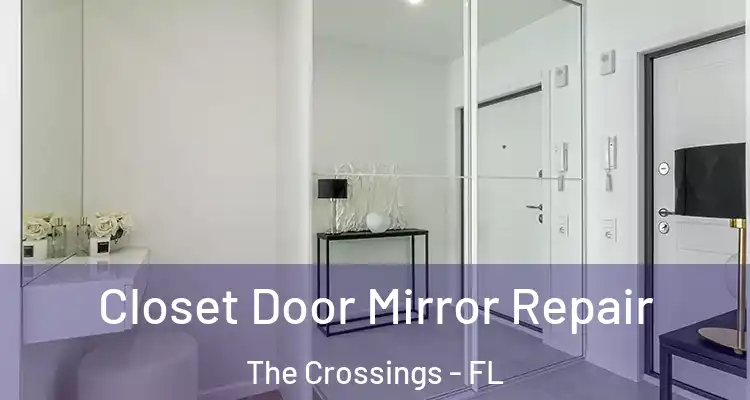  Closet Door Mirror Repair The Crossings - FL