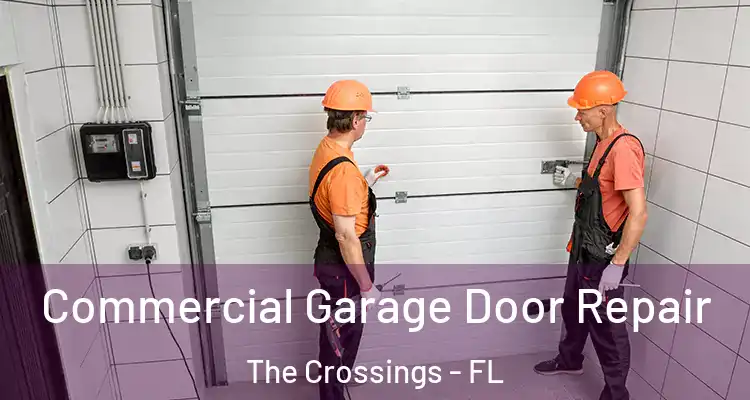  Commercial Garage Door Repair The Crossings - FL