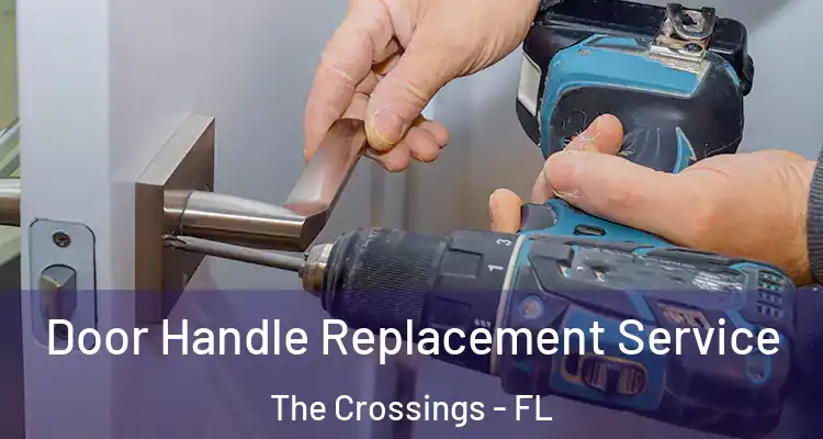  Door Handle Replacement Service The Crossings - FL