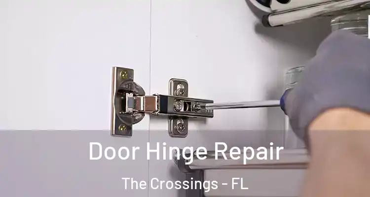  Door Hinge Repair The Crossings - FL