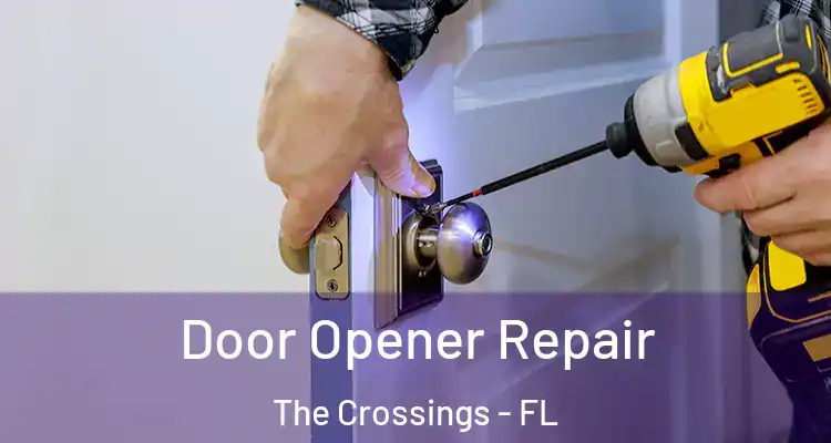  Door Opener Repair The Crossings - FL