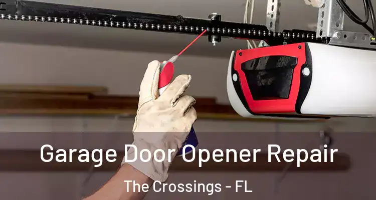  Garage Door Opener Repair The Crossings - FL