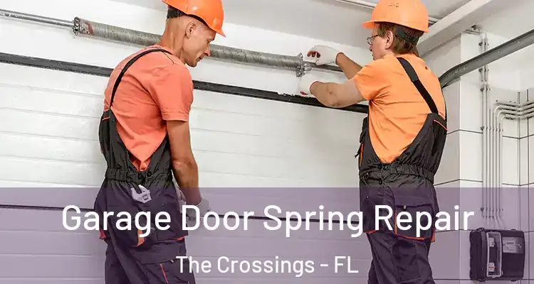  Garage Door Spring Repair The Crossings - FL