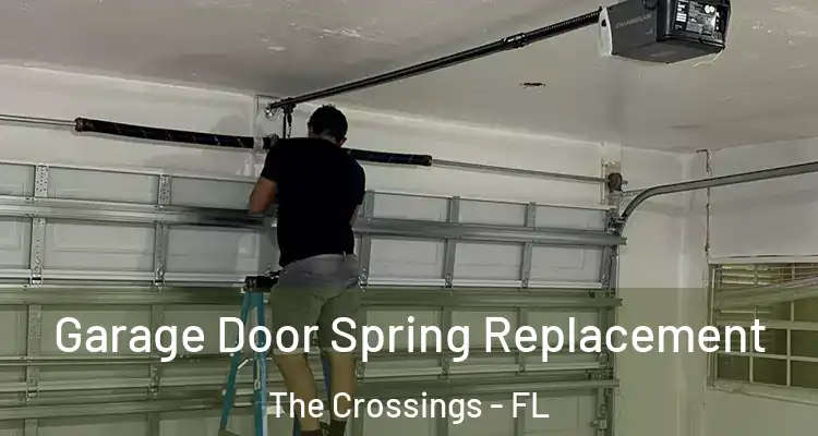  Garage Door Spring Replacement The Crossings - FL
