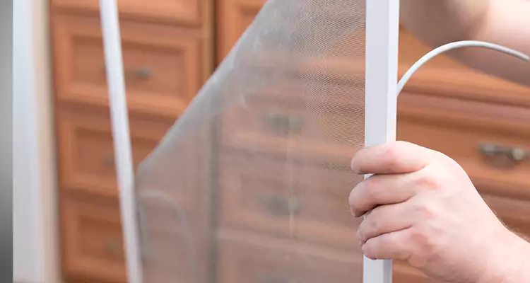 Privacy Mesh Screen Door Installation in The Crossings, FL