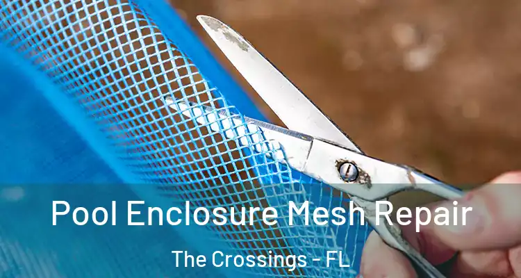  Pool Enclosure Mesh Repair The Crossings - FL