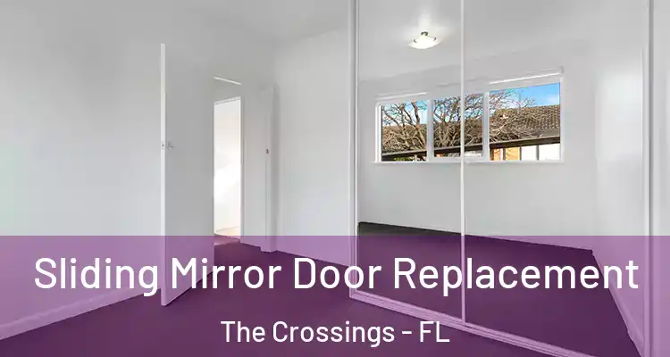  Sliding Mirror Door Replacement The Crossings - FL