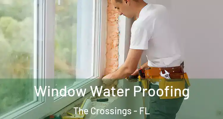 Window Water Proofing The Crossings - FL